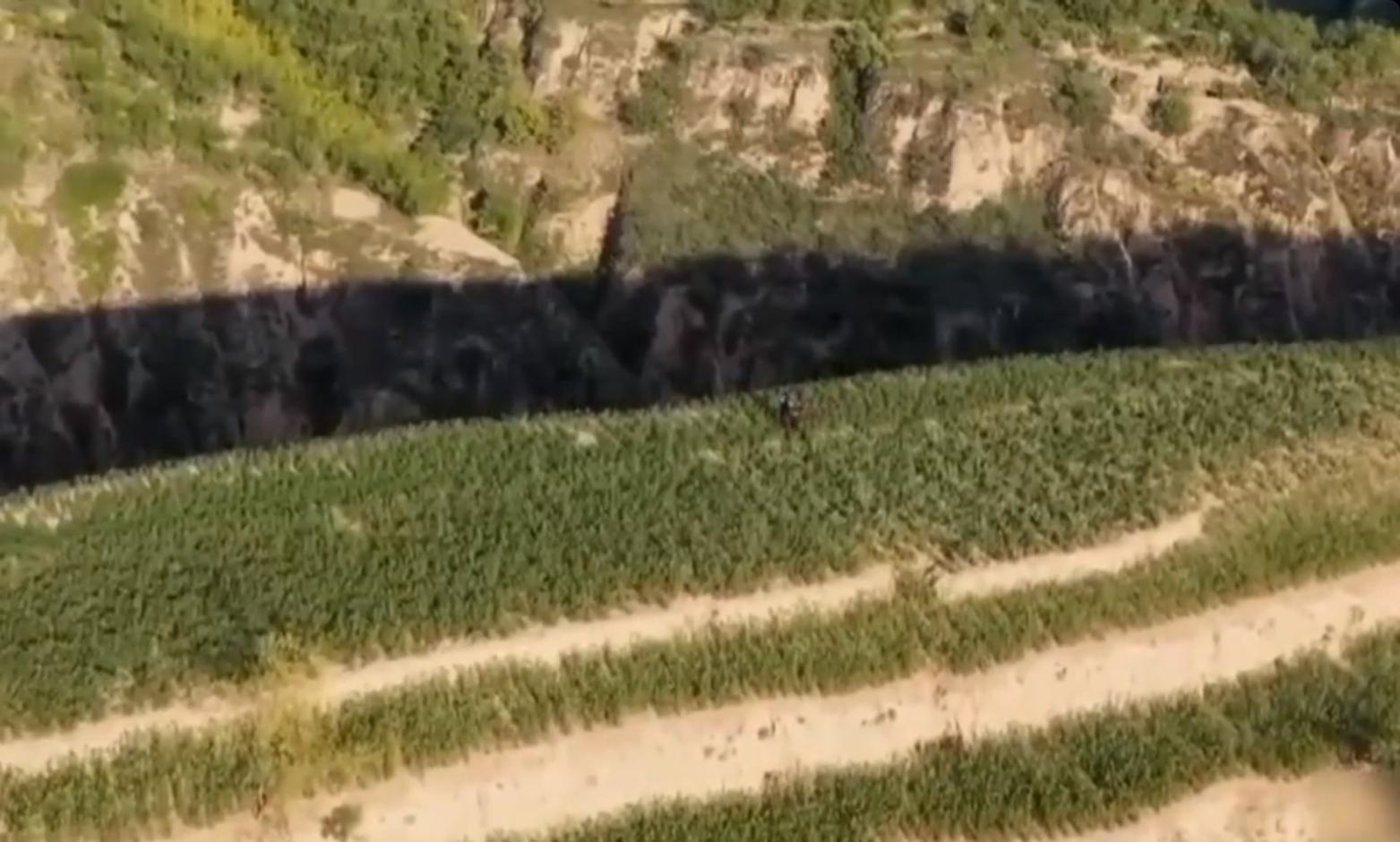 花甲老年人创业,花甲老翁重新创业