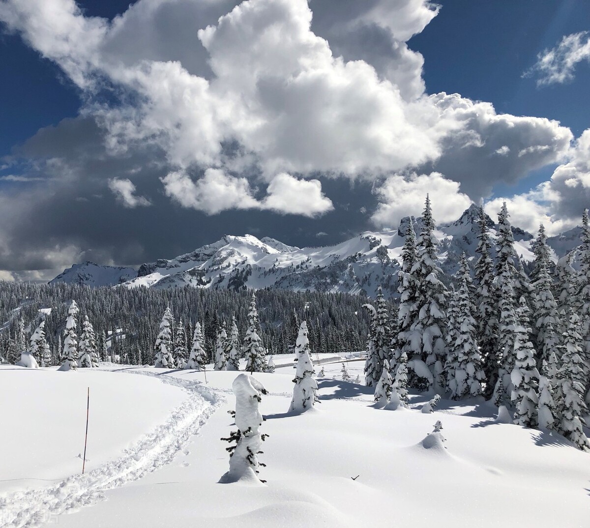 浼氭湁澶╀娇璁╀綘骞哥鐨勮鍚庢劅,浼氭湁澶╀娇璁╀綘骞哥闃呰