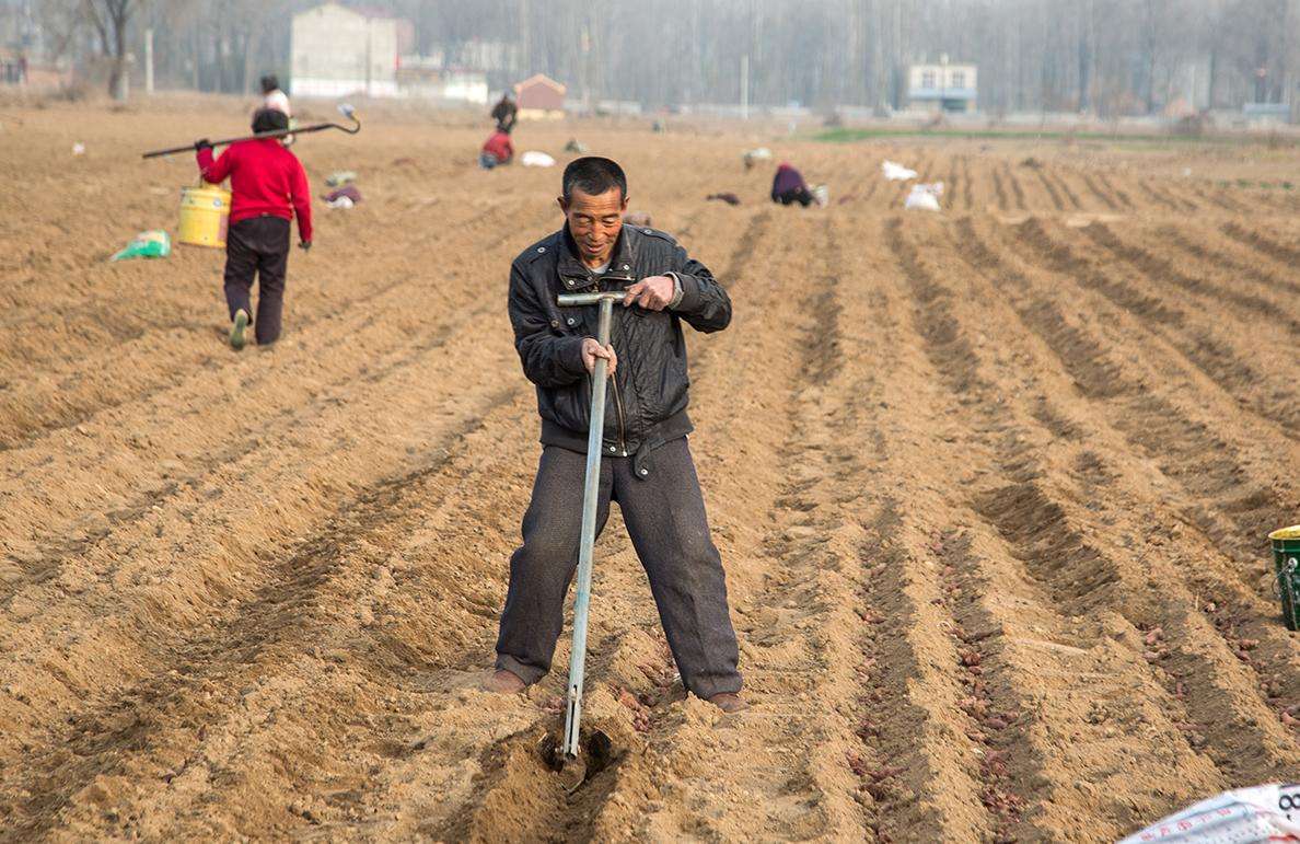 现在农民打工好还是在家种地好,回农村种地能赚钱吗