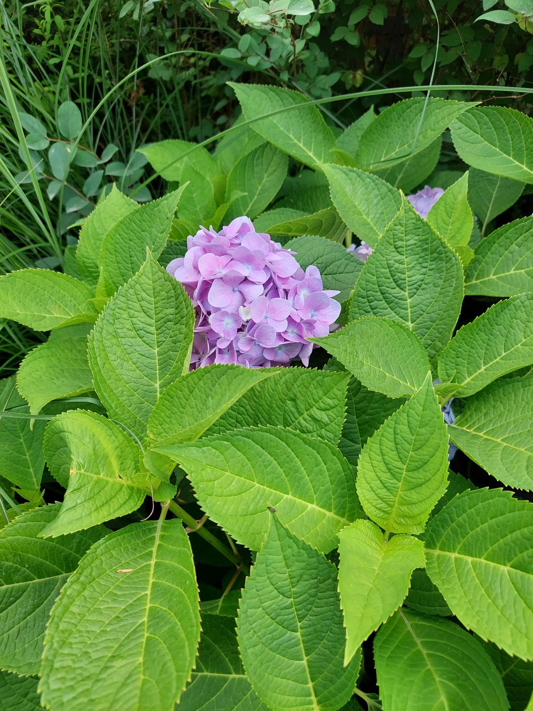 努力决定你的职业,努力是一种态度与职业无关