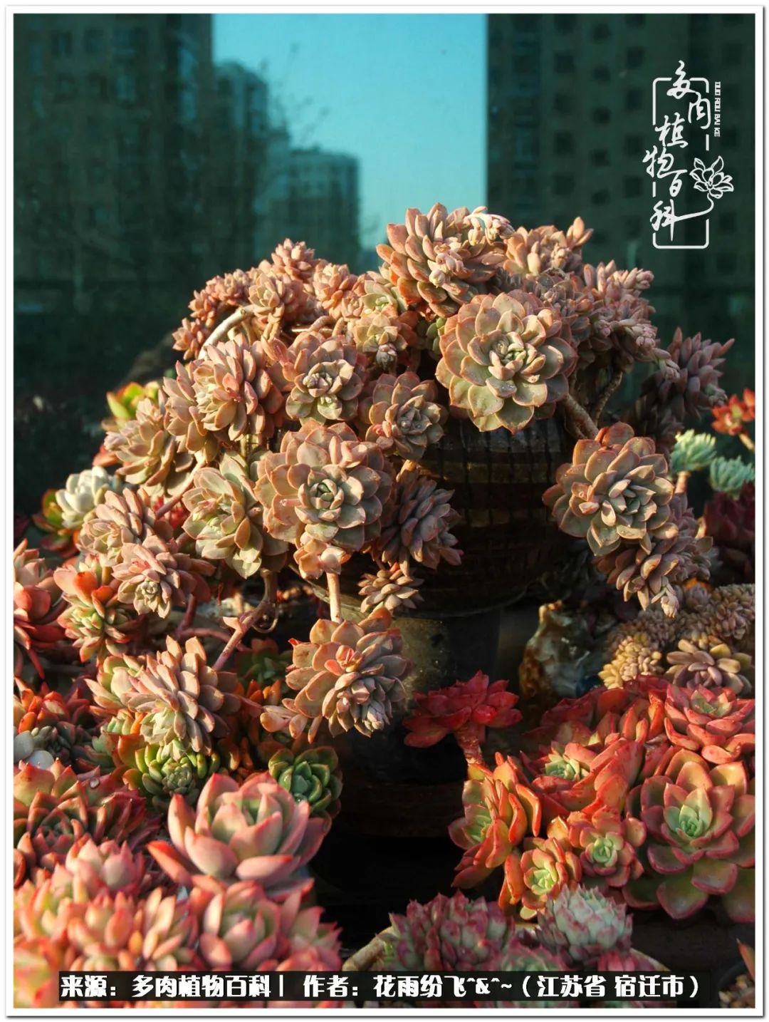 回味童年无忧无虑的快乐时光,童年最快乐的时光