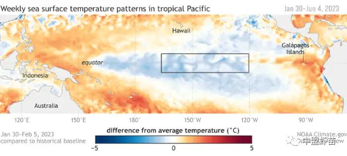 这种虾病，对虾产业产生深远影响！养殖大神揭露该病的今生前世！