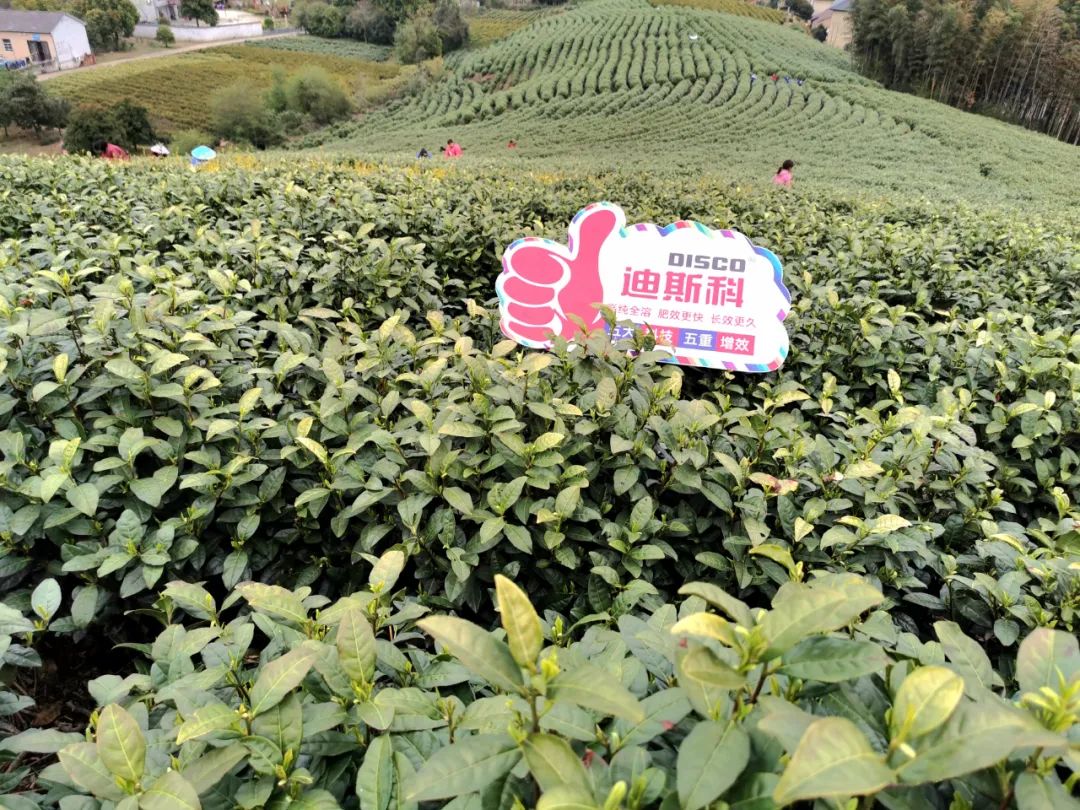 姝诲繝绮変笣鍜屽湴涓嬪伓鍍忕殑鍙屽悜濂旇荡,绮変笣涓庡伓鍍忓弻鍚戝璧寸殑鐖辨湁澶氱敎