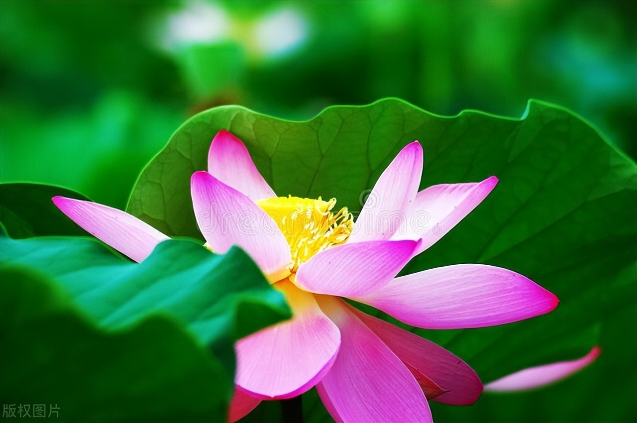 来杯2023，加糖，去冰，愿来年温暖如常，美好如初