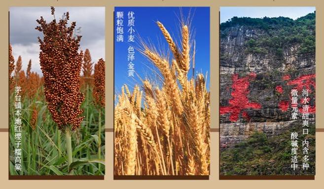 江苏大爷喝酒40年，总结出一份白酒“清单”，网友直言：真有眼光