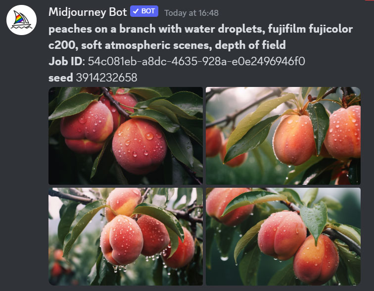 midjourneyseed怎么样,midjourneyseed参数讲解