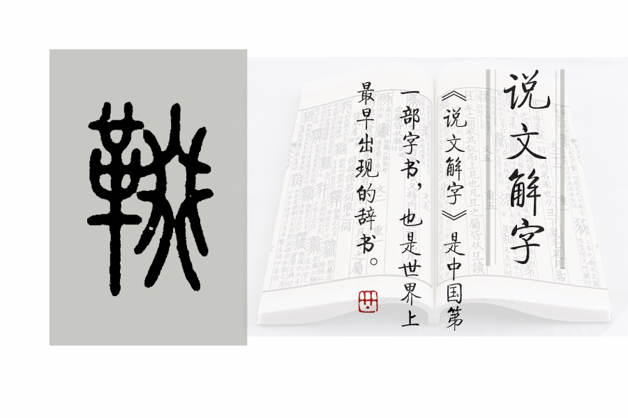 《说文解字》526课:与“马鞍”相关的汉字