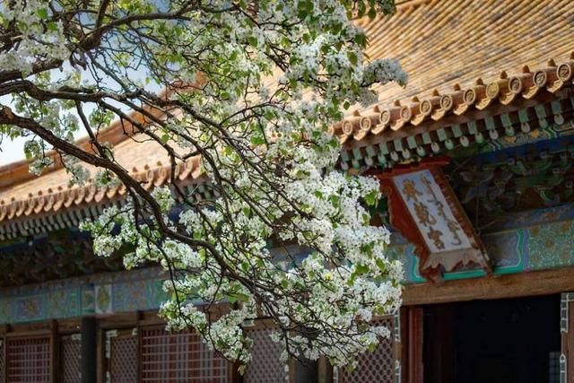 最有气势的十首帝王诗,历代皇帝最有气势的诗