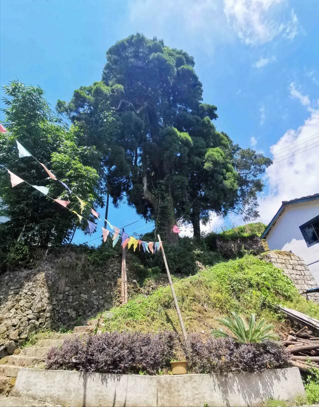 宁德市神农宫寺庙,宁德市神农宫5000年历史