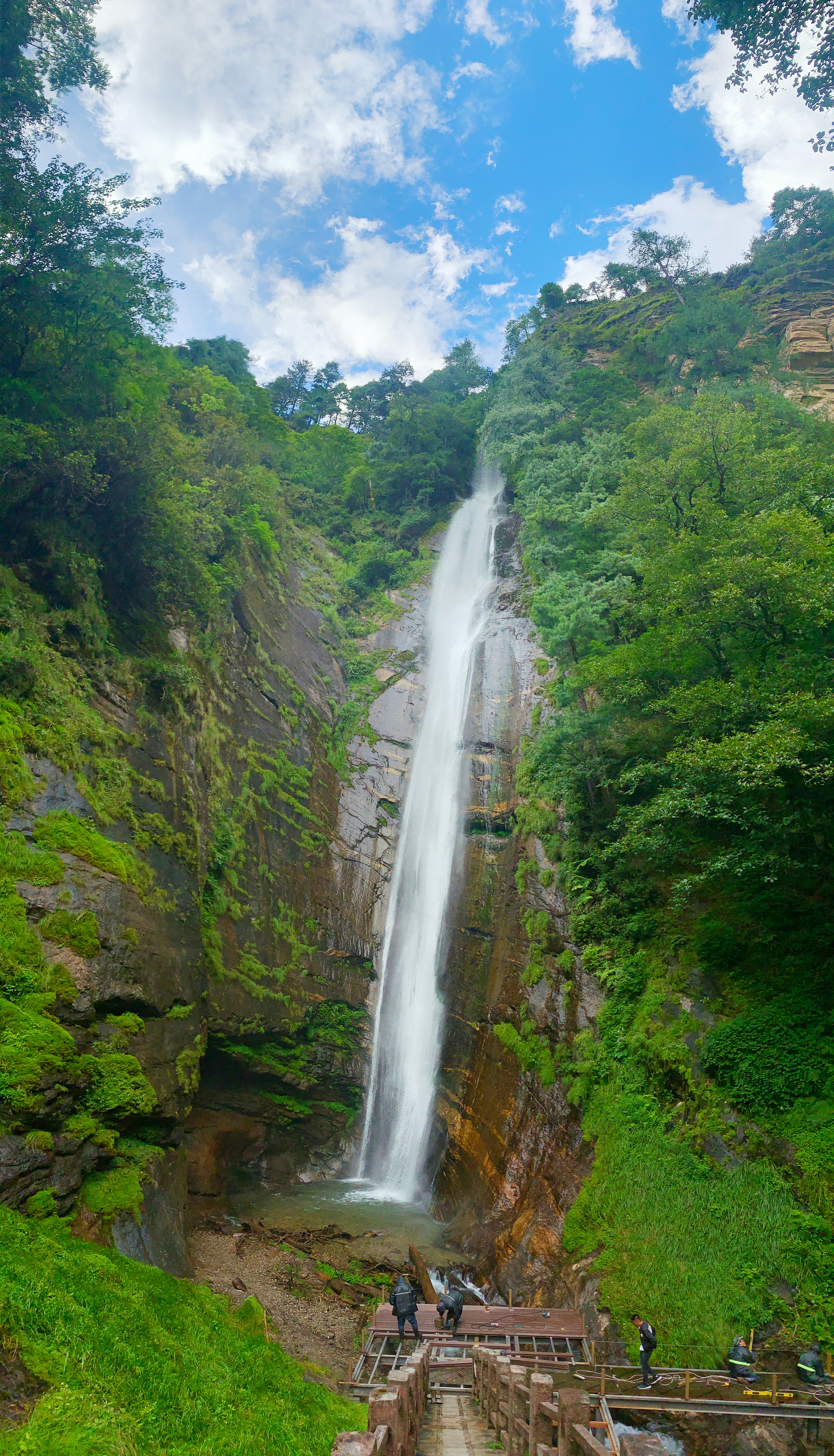 云南最高海拔的茶叶,海拔最高的茶叶产地在哪里