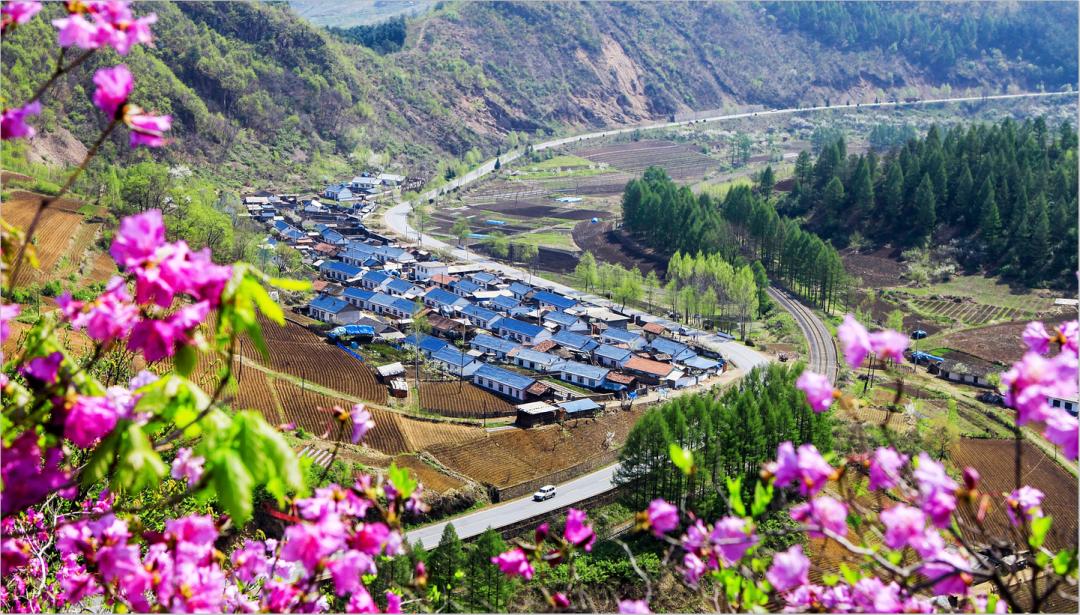 最新名单公示！14家单位上榜！