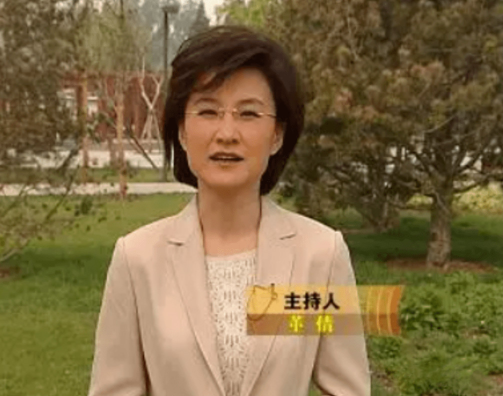 董倩滚出,董倩在央视主持过什么节目