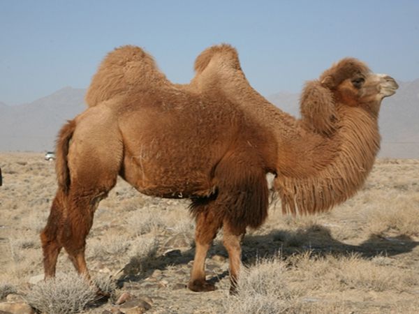 华中华北华南华东怎么区分,华中和华南对比