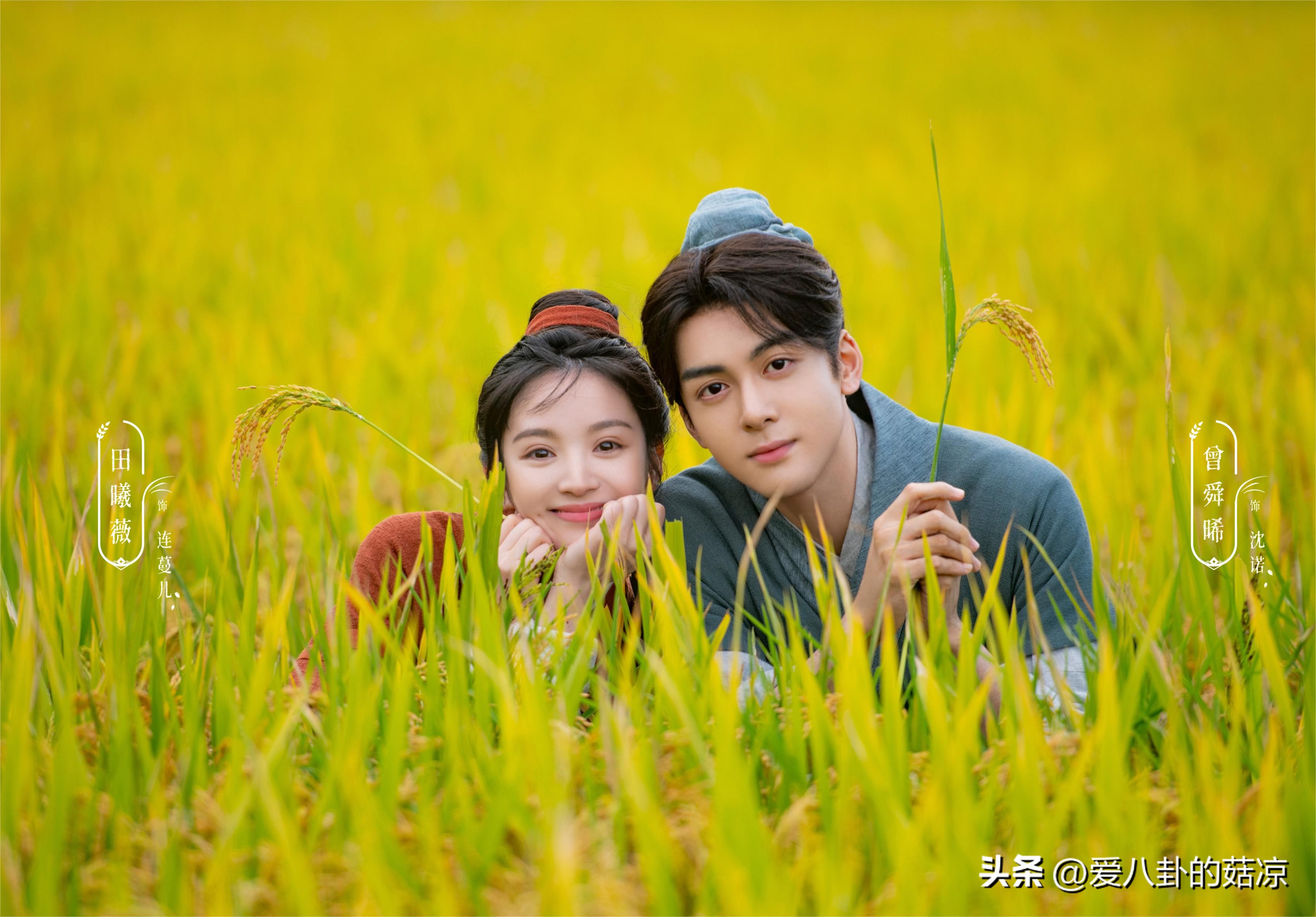 一些好看的国产古装小甜剧推荐,几部甜到爆的古装网剧