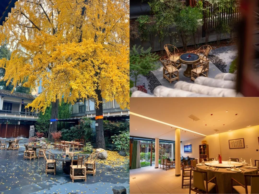 成都不得不去的文艺中式茶馆,带你打卡成都老茶馆