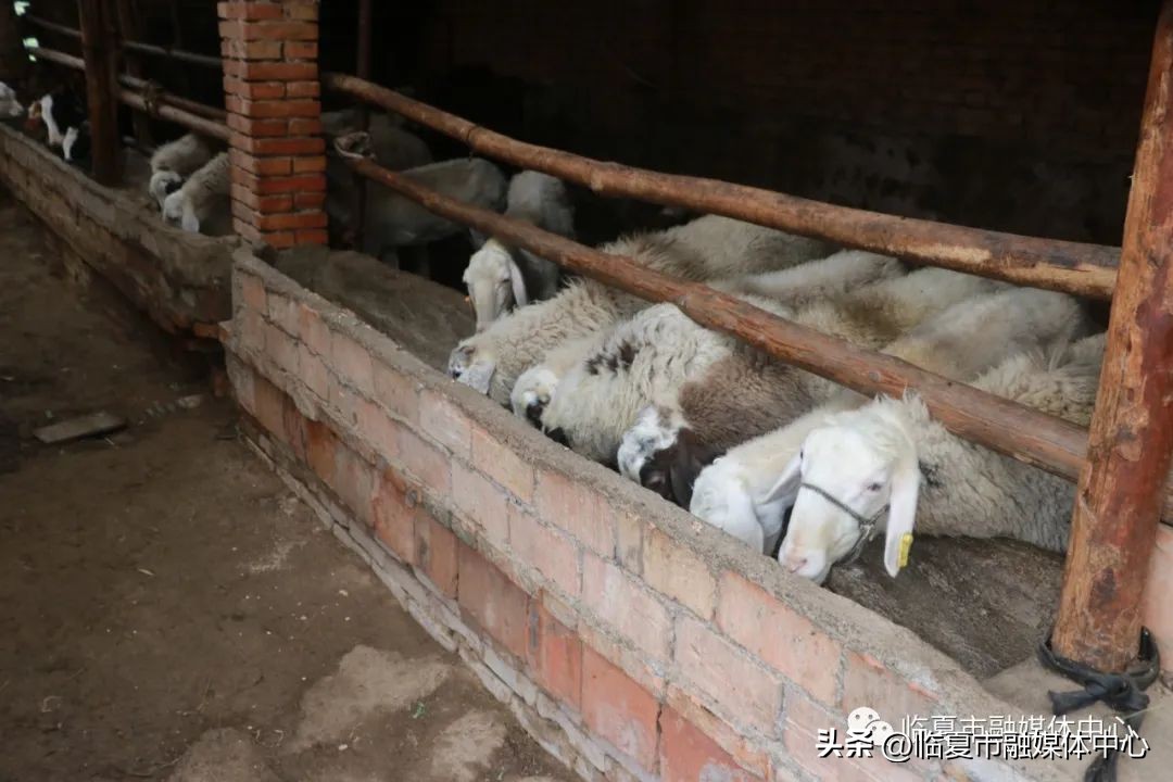 临夏县全面落实创业担保贷款,临夏州创业贷款总额