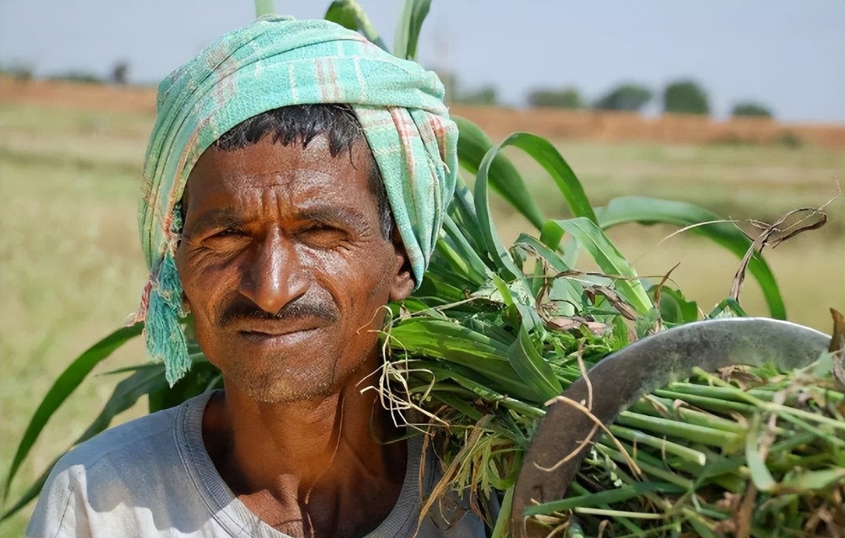 论法的精神哪个译本最好,论法的精神全文在线阅读