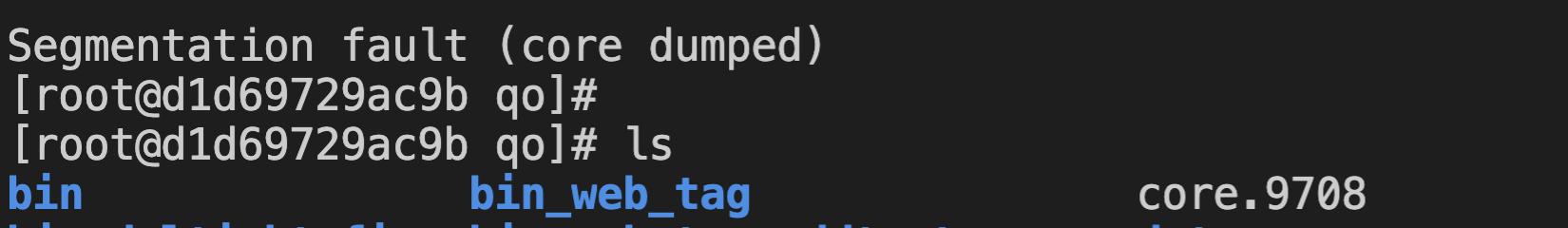 避雷心经|Coredump排查入门