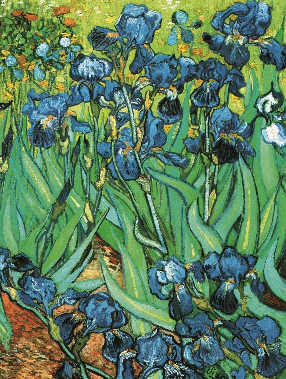 疫情重围下，借你一双画家的眼睛