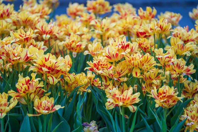 元宇宙林俊杰,元宇宙林俊杰在哪个平台