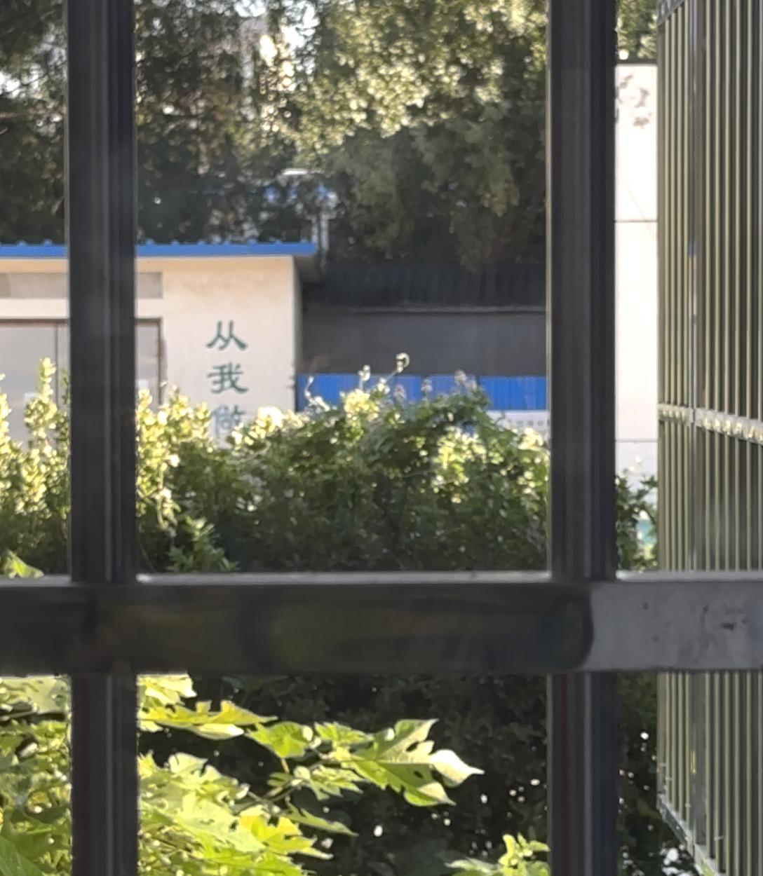 先有小区后有路应该装隔音屏吗,先有高架后有小区隔音屏应该谁装