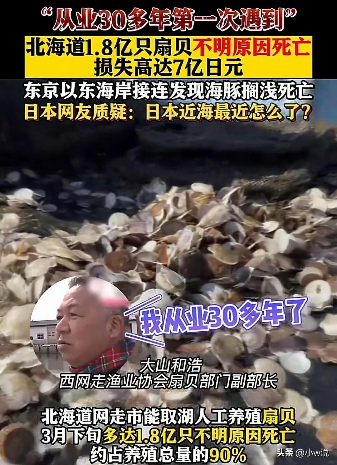 苏州港进口日本海鲜,苏州官方谈进口日本海鲜