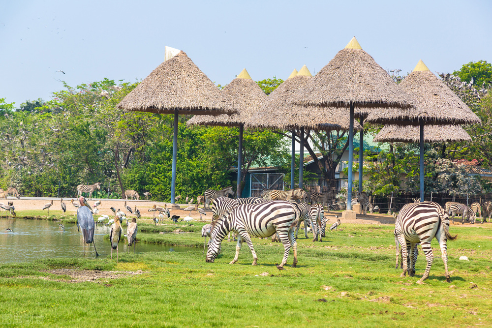 泰国曼谷著名遗产旅游地,曼谷名胜古迹