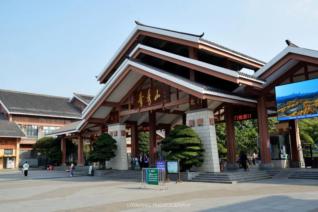 南宁市旅游必备美食有哪些,品味南宁美食文化的好去处