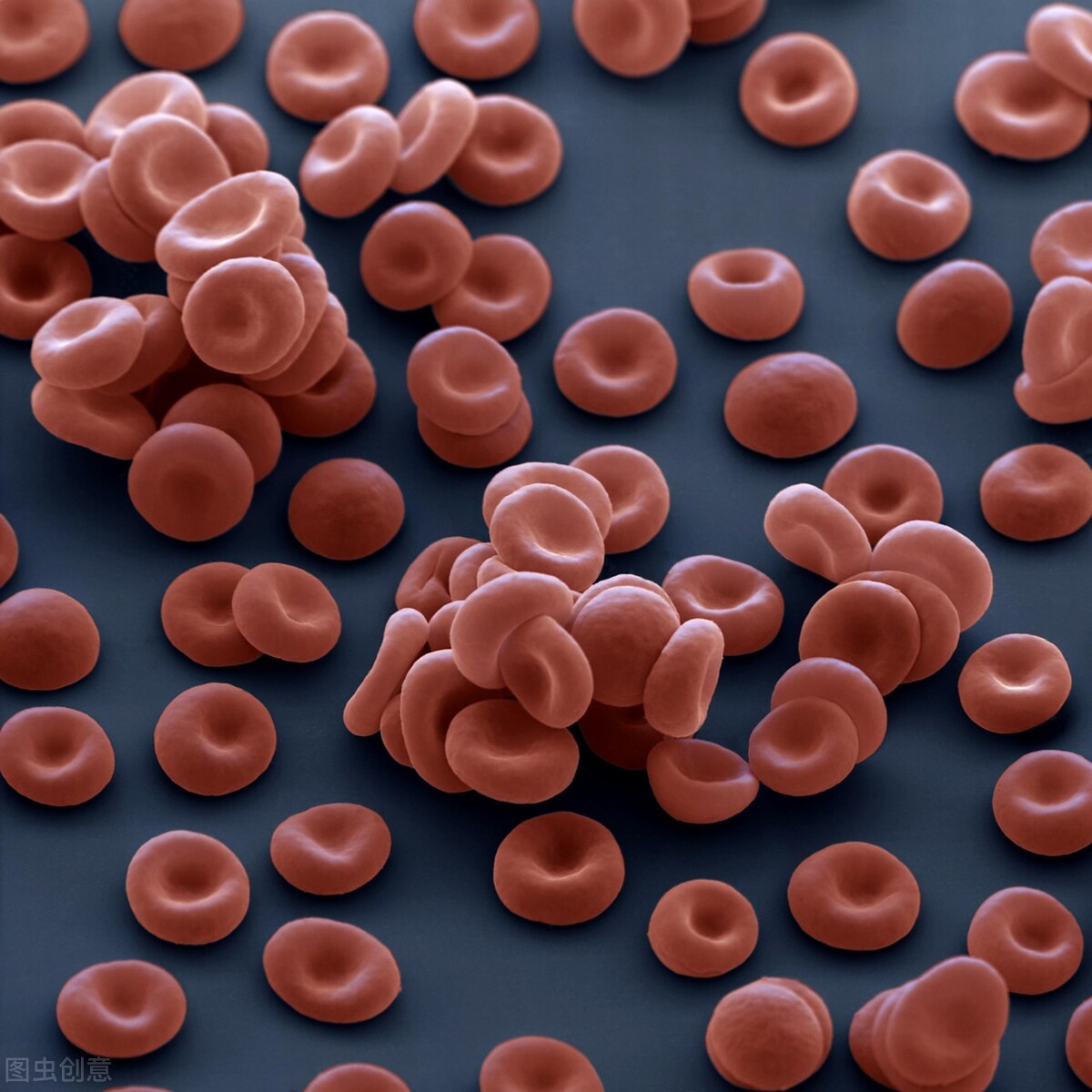 晨起一杯温开水伤阳,晨起一杯温水有啥好处