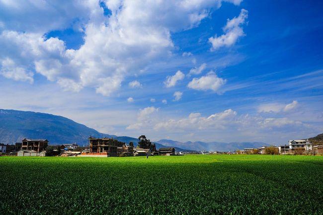 茅塞顿开恍然大悟醍醐灌顶,记住以下六点保证让你茅塞顿开