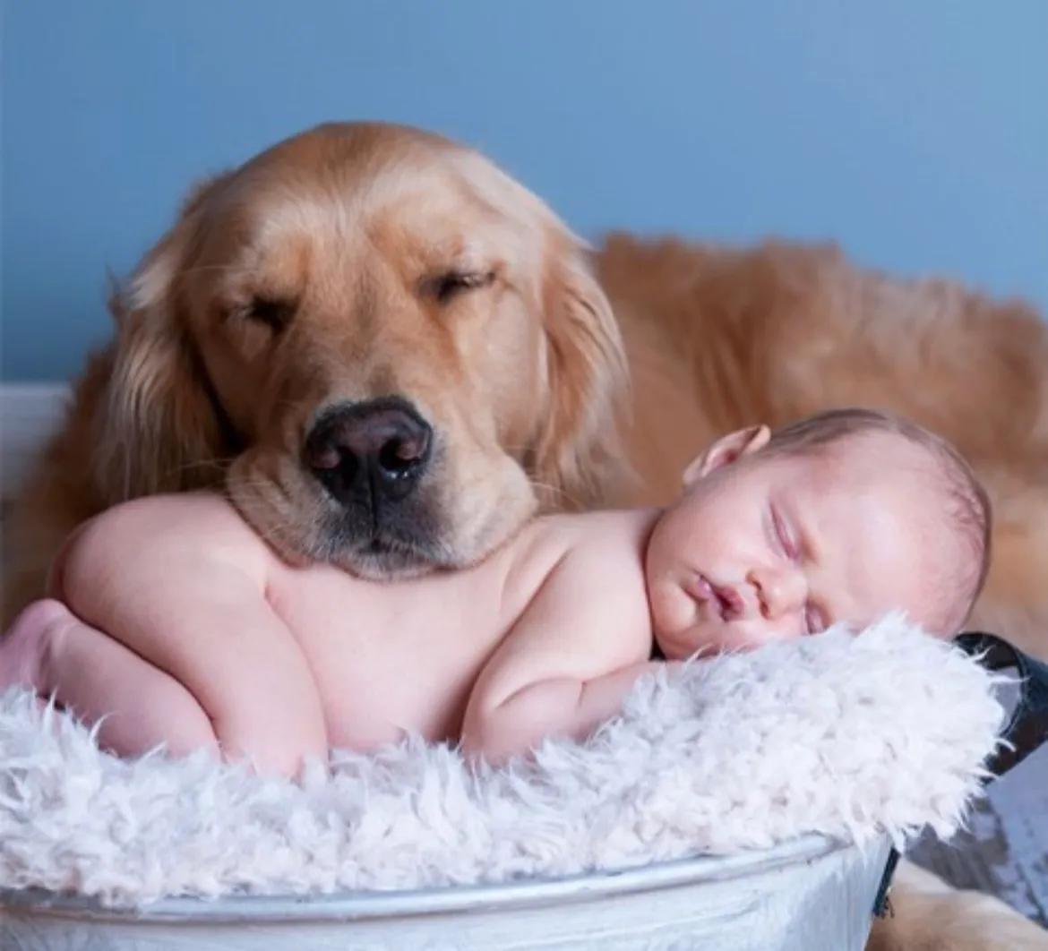 幽默笑话不胜酒力,关于水的幽默笑话段子