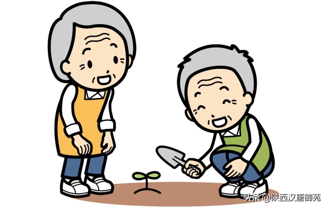 李宁带你了解“日本养老”--10.QOL（生活质量）