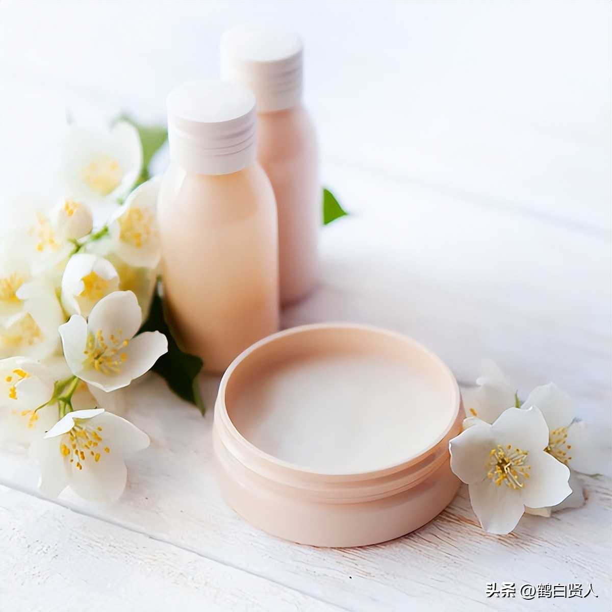 蓝藻的前世今生,蓝藻前世今生