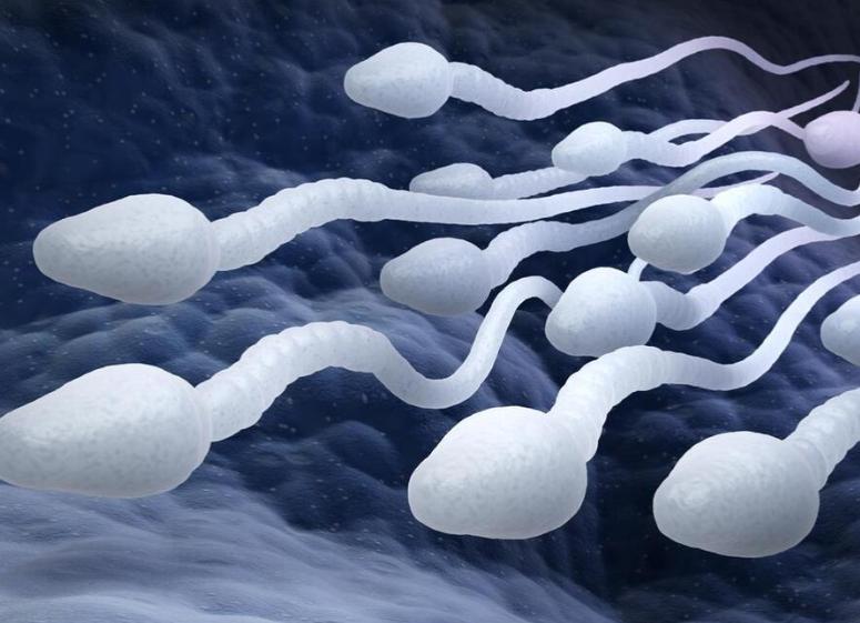 男性长期禁欲，精子只产不排，最后会怎样？医生：恐难逃3大结局