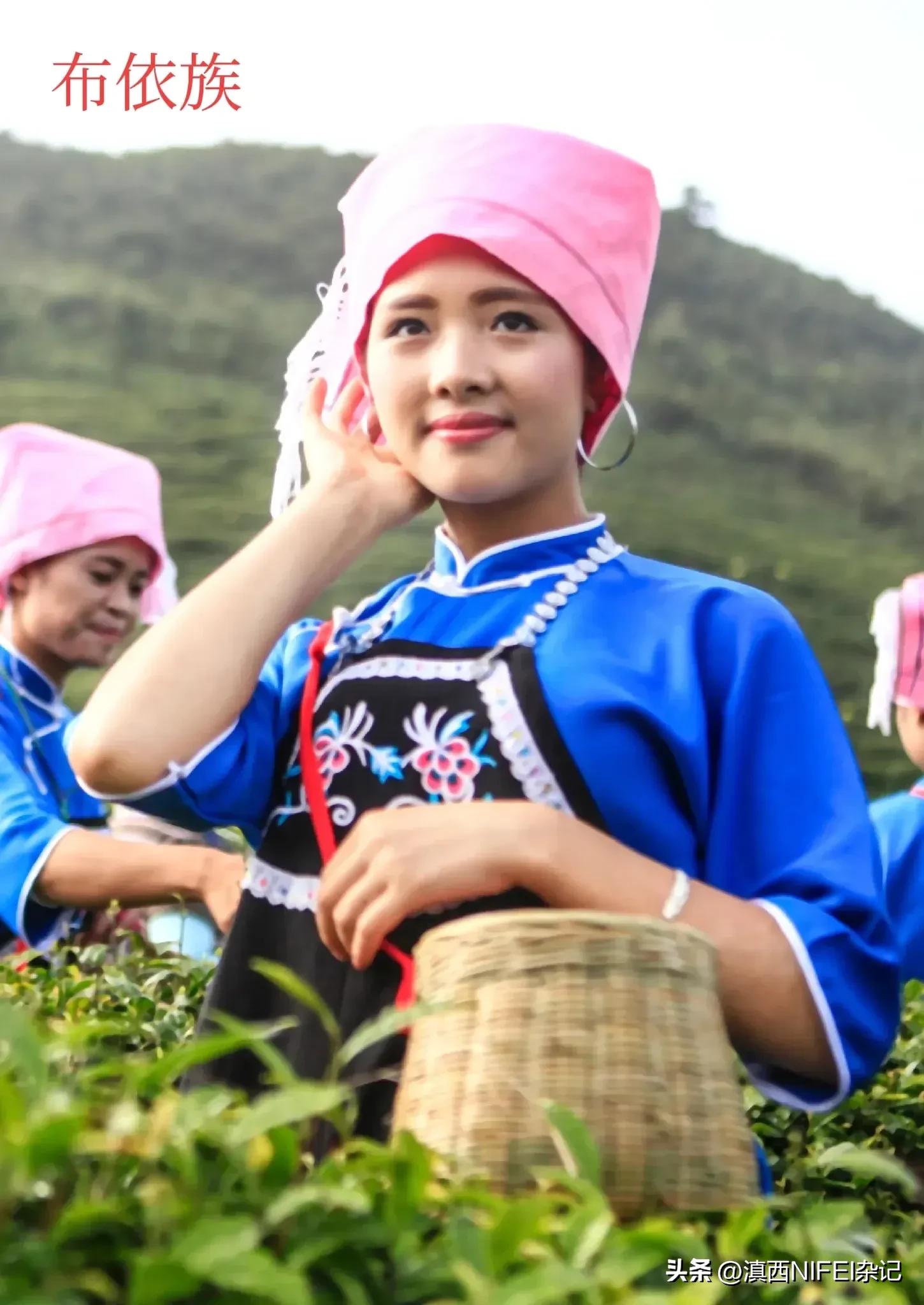 我国少数民族人口的分布特点,我国少数民族主要分布图