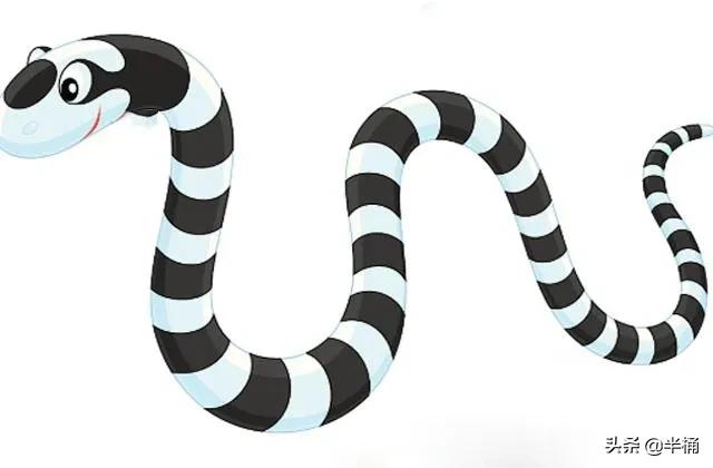 蛇为什么吃黄鳝那么难,为什么说蛇吃黄鳝是在找死