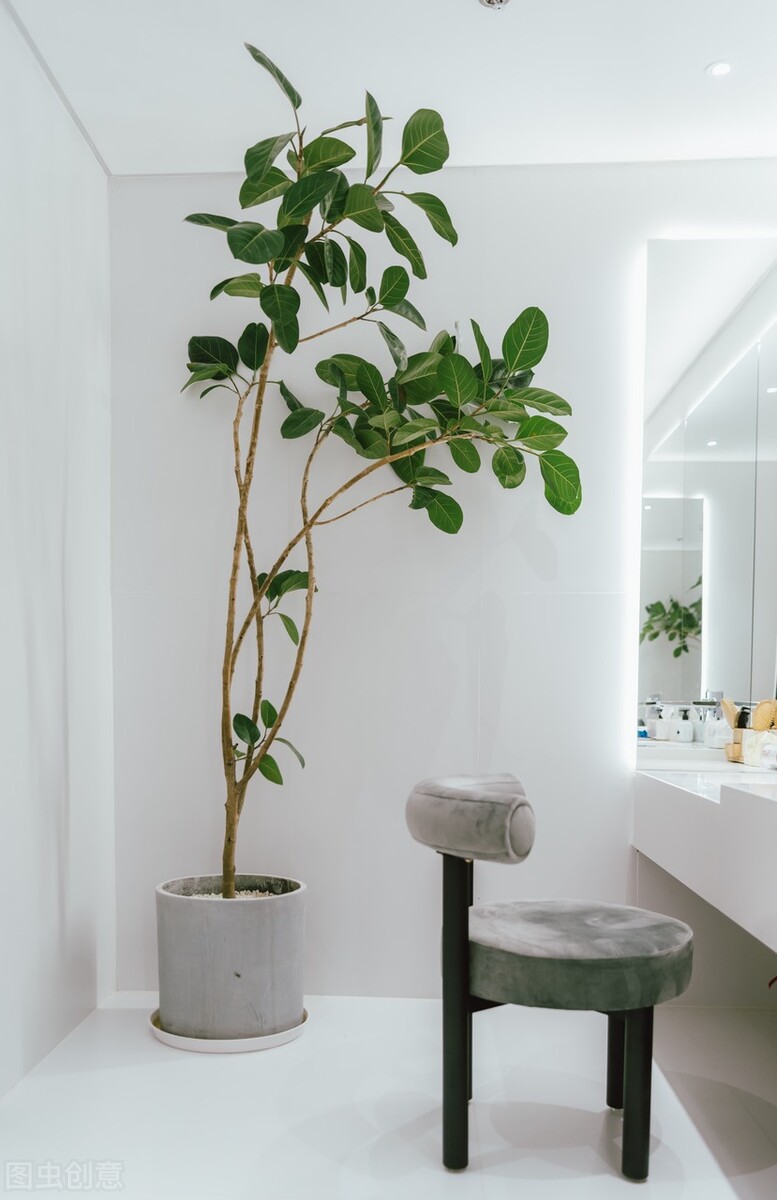 新手开花店怎样进货,新手如何开一家网上花店