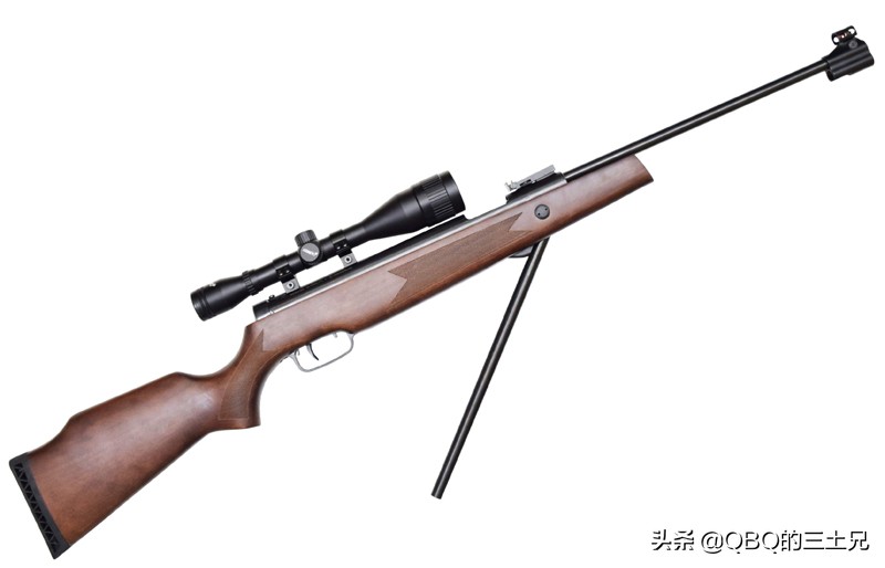 气枪的历史演变,气枪经典结构