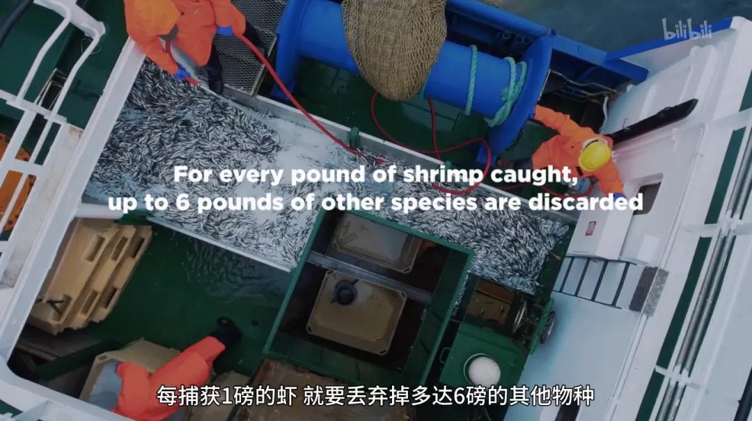 最后一部良心之作,一部真正良心之作全程毫无尿点