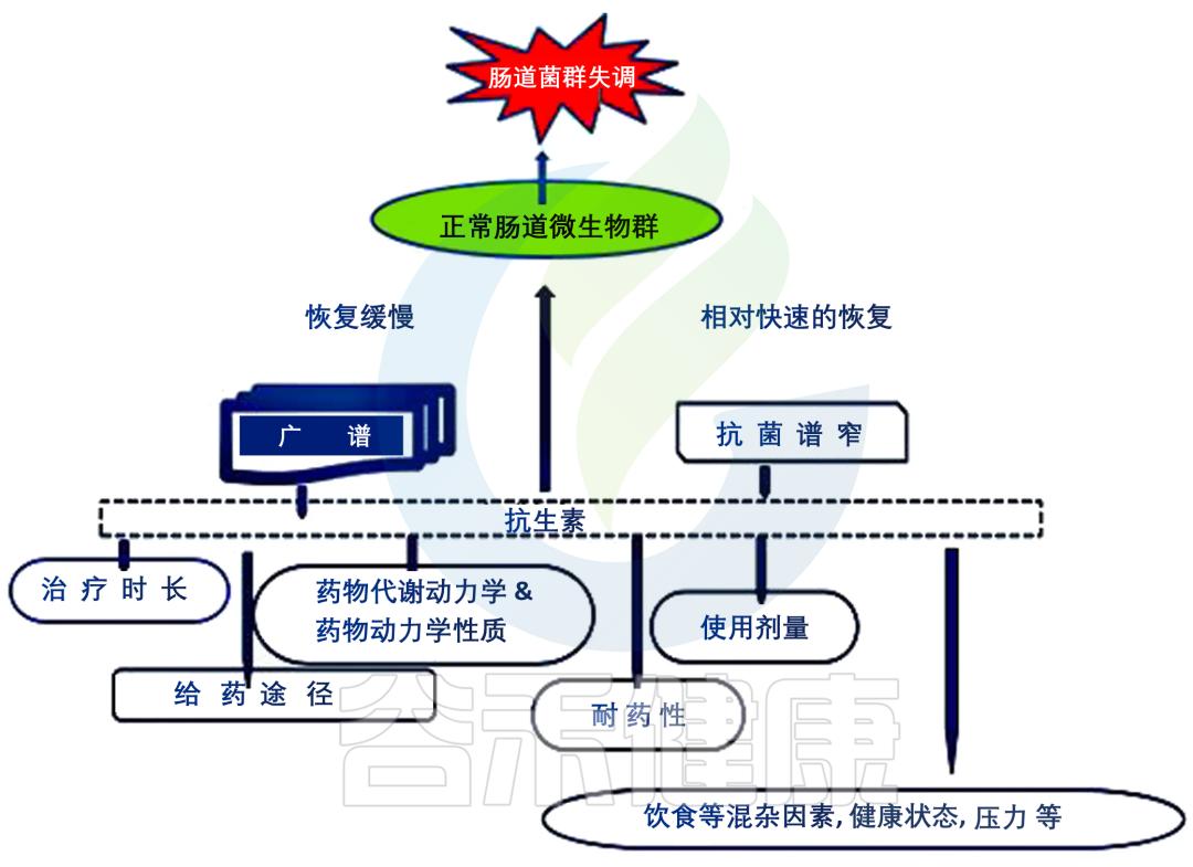 肠道菌群失衡会引起什么问题,肠道菌群失衡有哪些表现