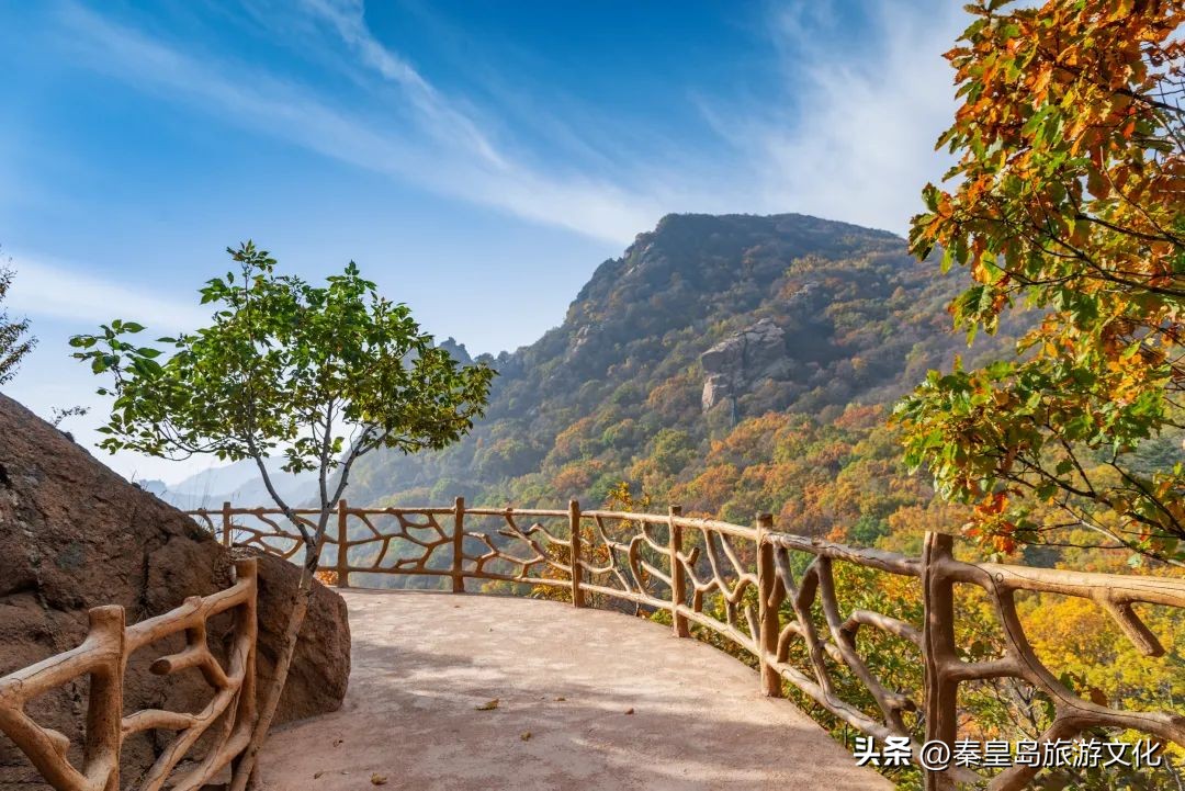 上帝打翻了秋天的调色盘,上帝打翻了调色盘诗句