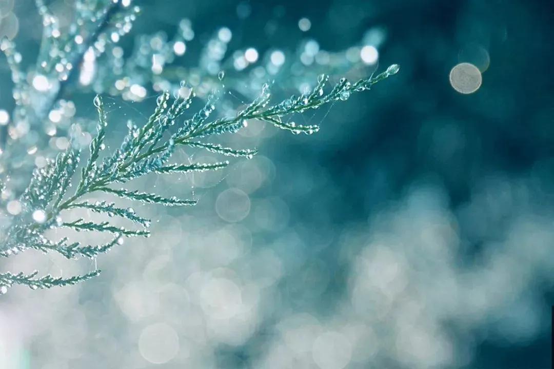 现在迷茫走好脚下的路文案,迷茫时先走好脚下的路