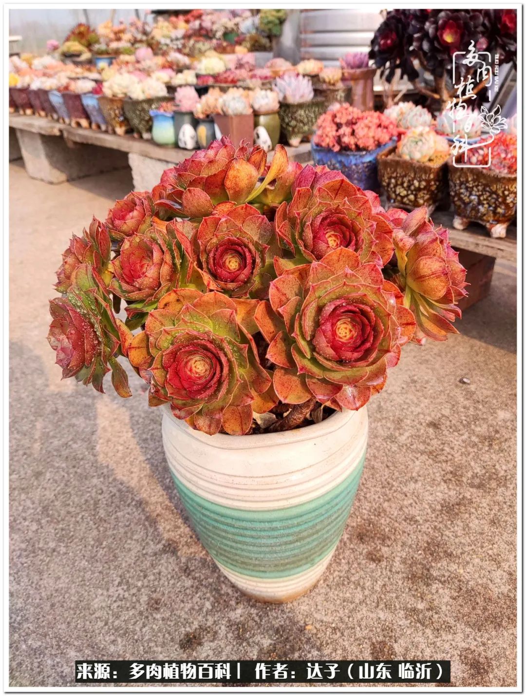 活在当下珍惜眼前平凡的生活,活在当下感慨万千