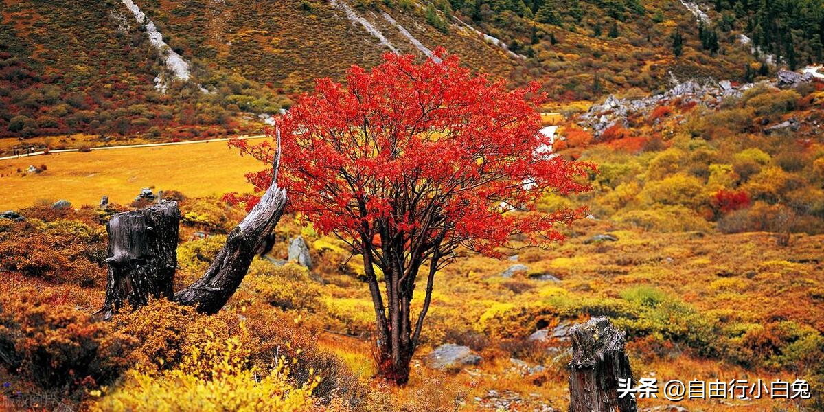 稻城亚丁自然保护区旅游攻略,稻城亚丁秘境视频