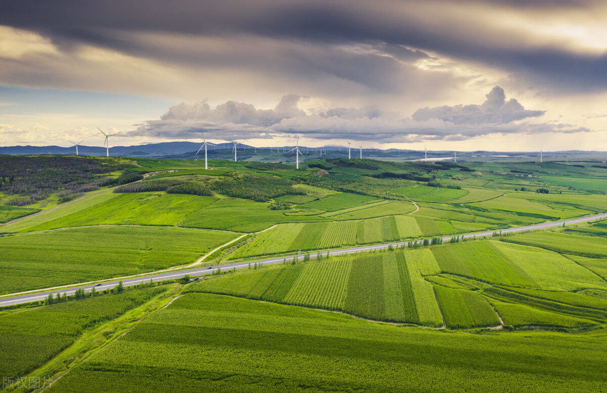 为什么日本人宁愿买他们几十万一个的西瓜，也不从中国进口便宜的