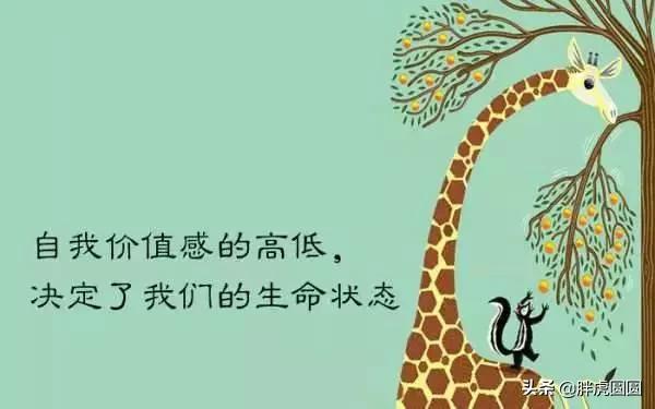 我的奇葩儿子搞笑,我的奇葩儿子后续