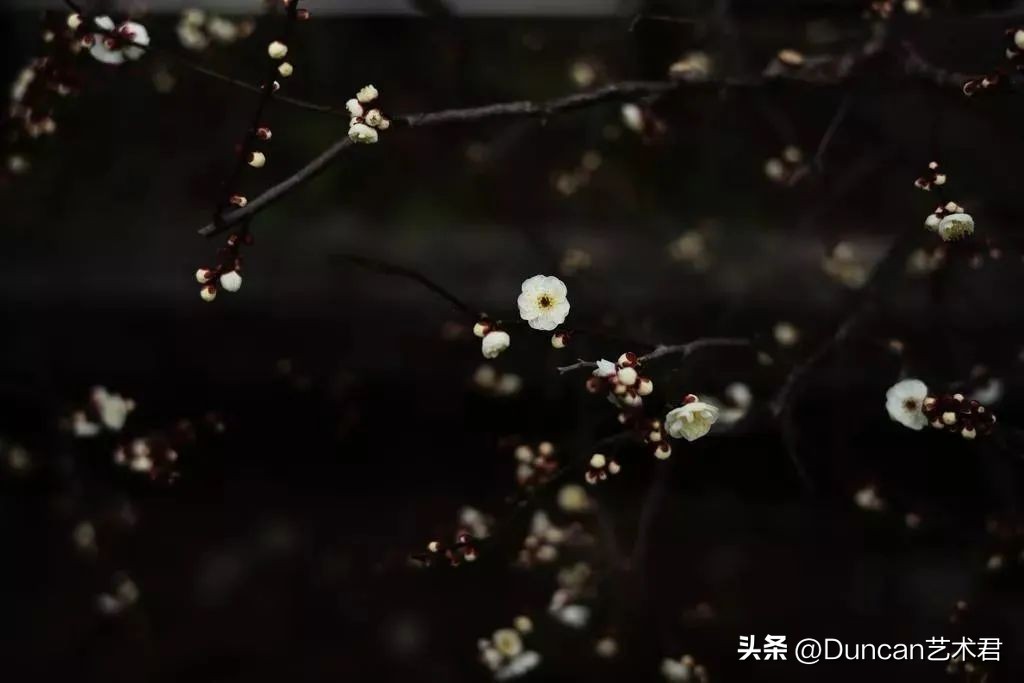 成都群光君悦酒店测评,成都群光君悦酒店价格