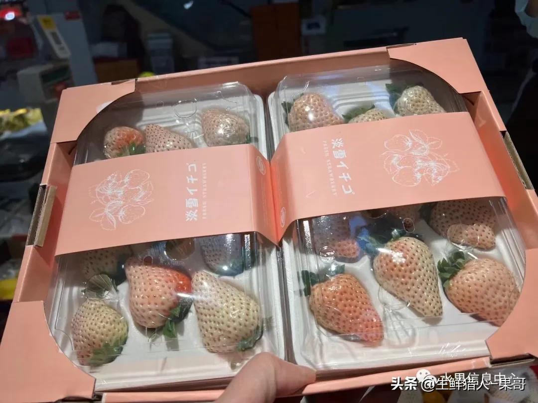 在水果中浆果是分哪几种,水果分类浆果