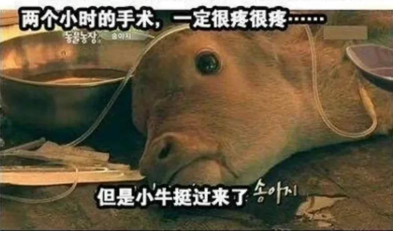 出生时没有肛门，有人却说要养他一辈子