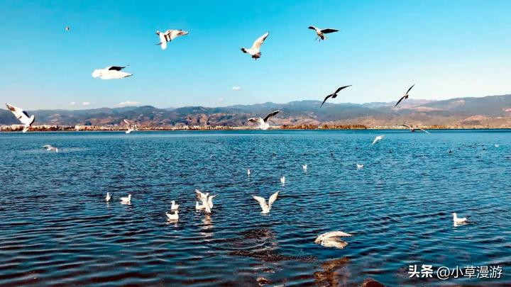 四川三日自驾游旅游景点推荐路线,四川旅游自驾游线路推荐